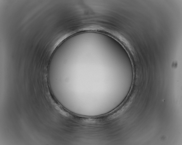 X0000091571329200708200942