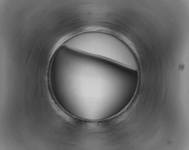 X0000091571330200708200942