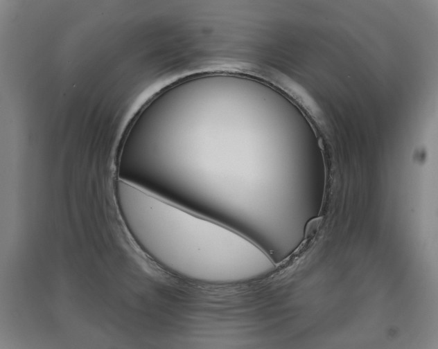 X0000091571332200708200942