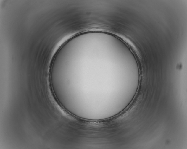 X0000091571333200708200942