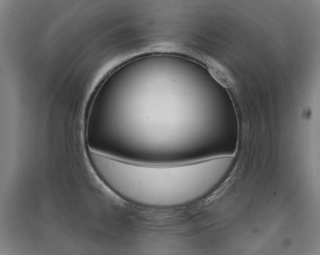 X0000091571334200708200942