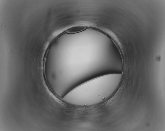 X0000091571335200708200942