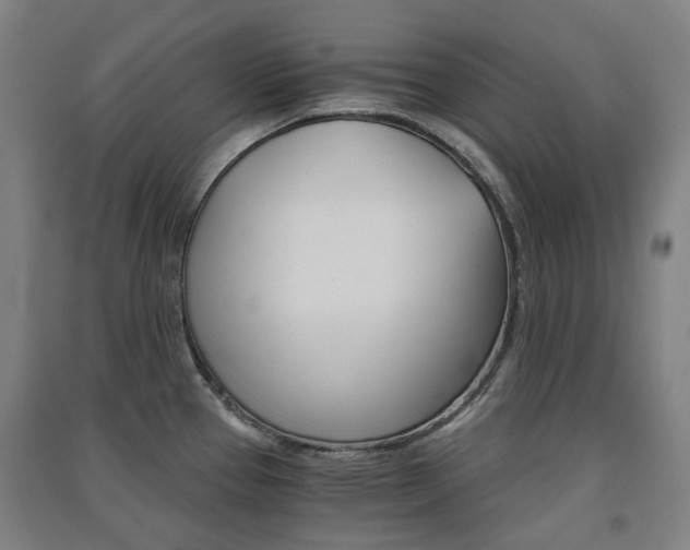 X0000091571337200708200942
