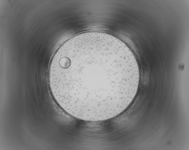 X0000091571338200708200942