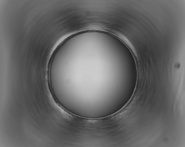 X0000091571339200708200942