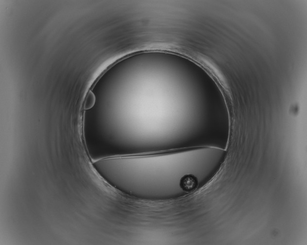X0000091571340200708200942