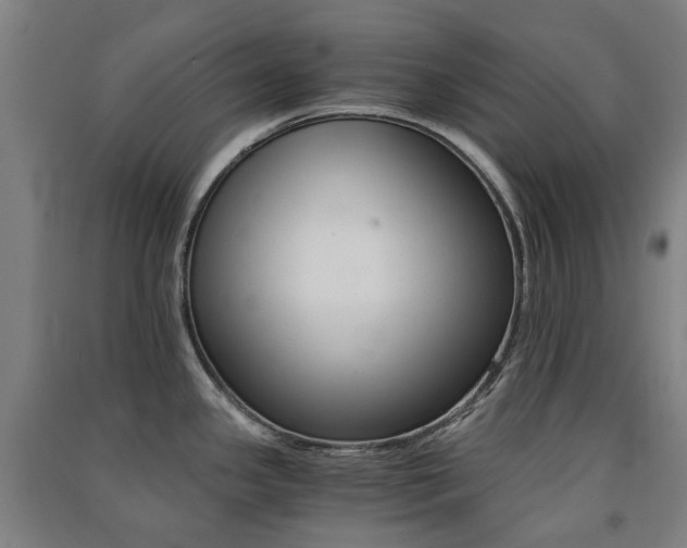 X0000091571341200708200942
