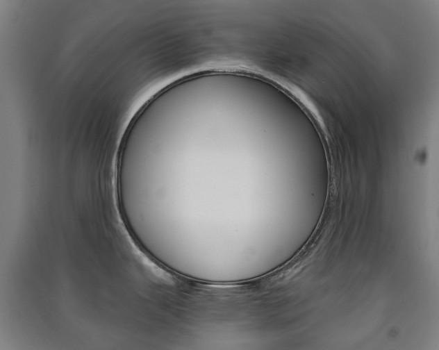 X0000091571343200708200942