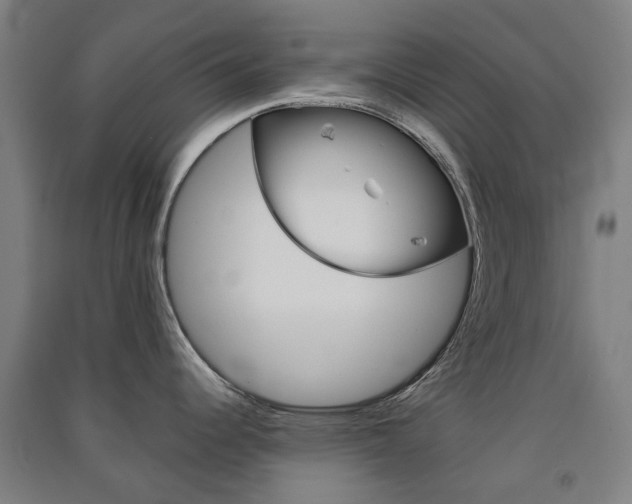 X0000091571344200708200942