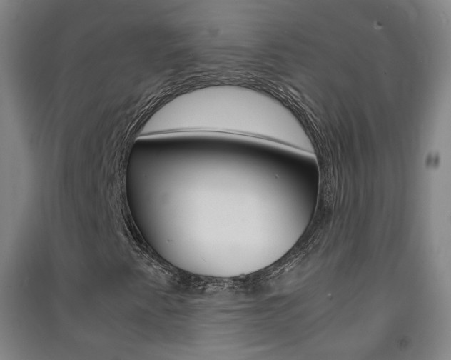 X0000091571345200708200942