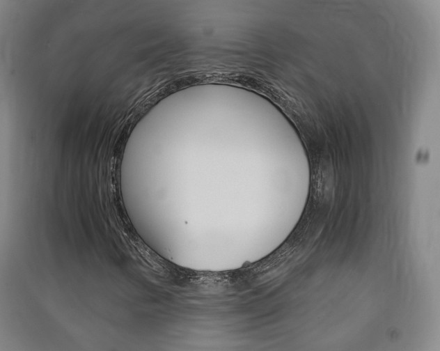 X0000091571346200708200942