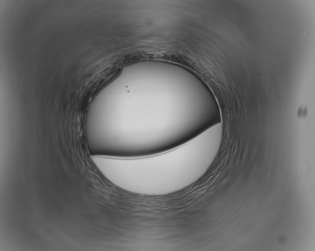 X0000091571347200708200942