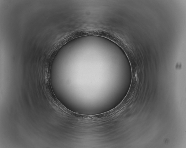 X0000091571348200708200942