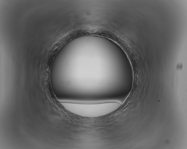 X0000091571349200708200942