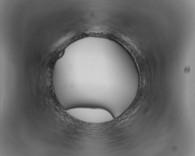 X0000091571350200708200942