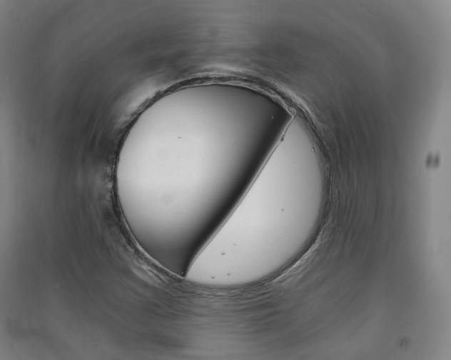 X0000091571355200708200942