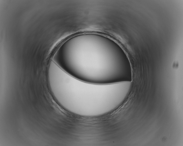 X0000091571356200708200942