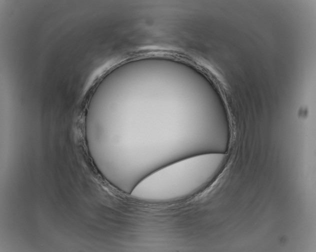 X0000091571357200708200942