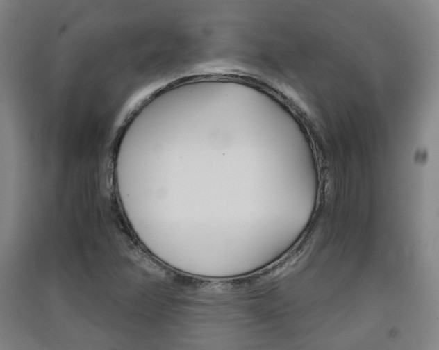 X0000091571358200708200941