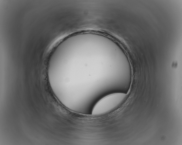 X0000091571359200708200941