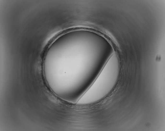 X0000091571360200708200941