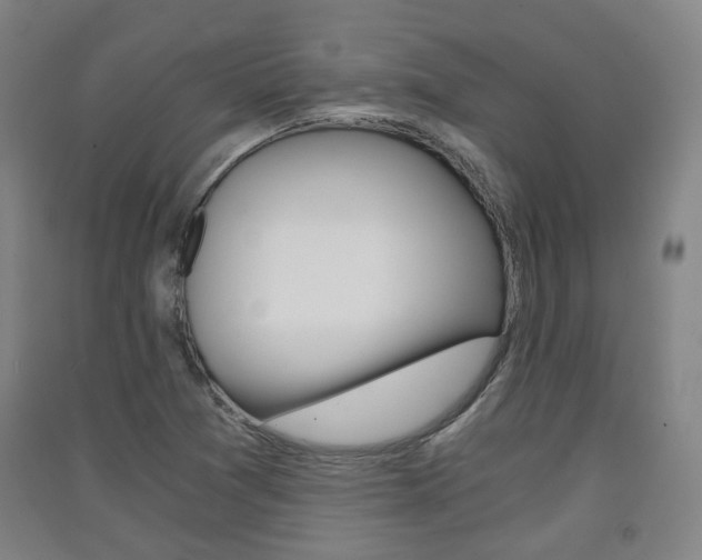 X0000091571361200708200941