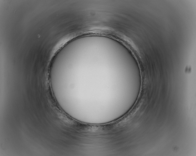 X0000091571362200708200941