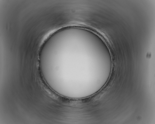 X0000091571363200708200941