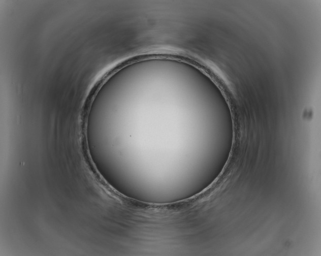 X0000091571364200708200941
