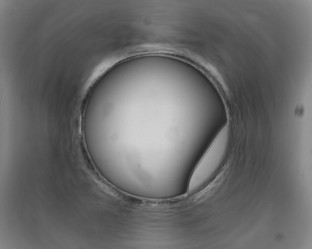X0000091571365200708200941