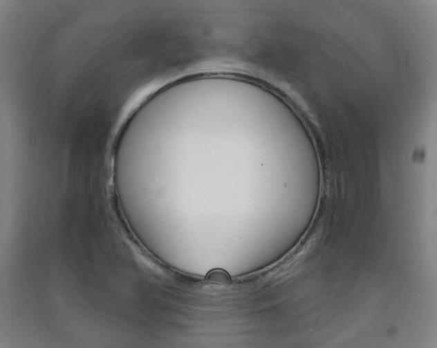 X0000091571366200708200941