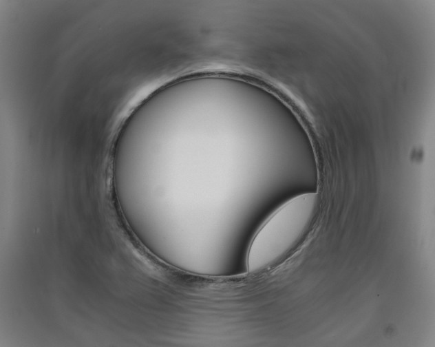X0000091571367200708200941
