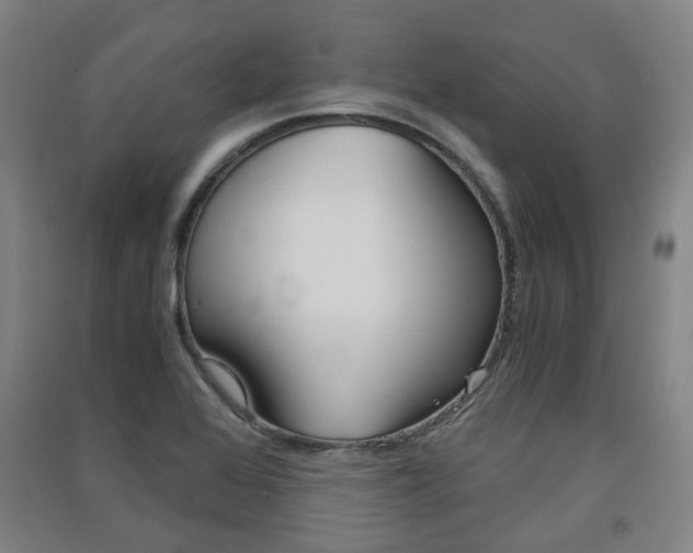 X0000091571368200708200941