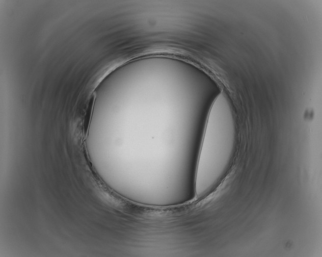 X0000091571369200708200941