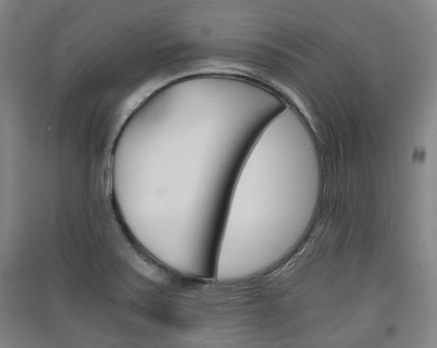 X0000091571371200708200941