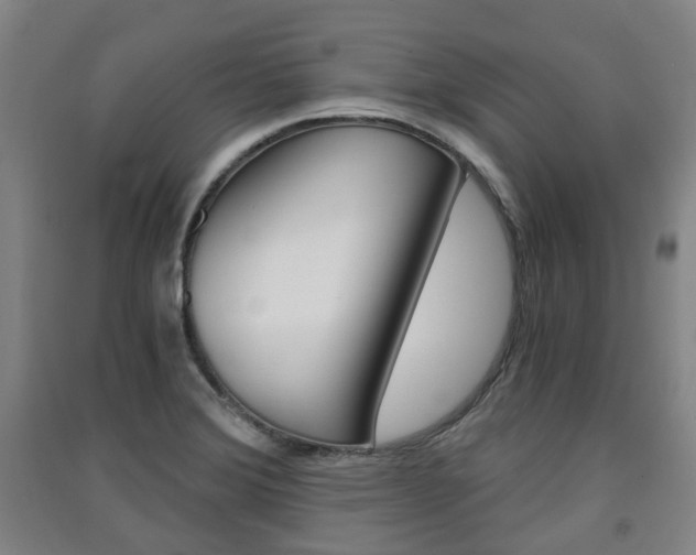 X0000091571372200708200941
