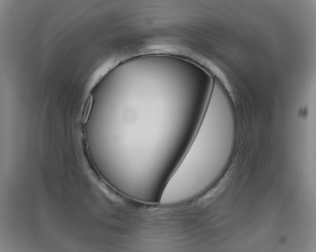 X0000091571373200708200941