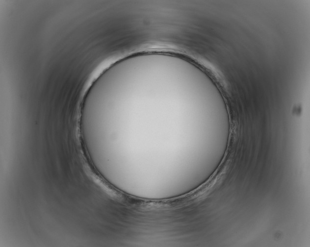 X0000091571374200708200941