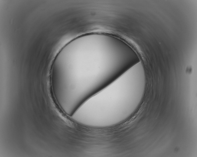 X0000091571375200708200941