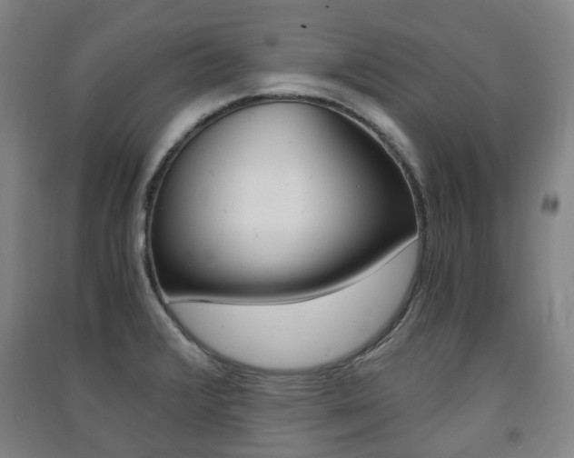 X0000091571376200708200941