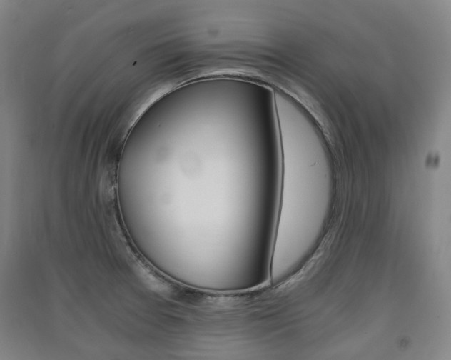 X0000091571377200708200941