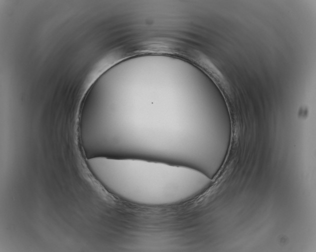 X0000091571378200708200941