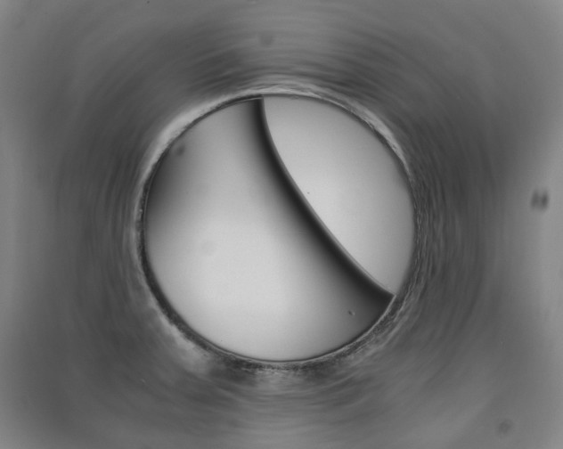 X0000091571379200708200941