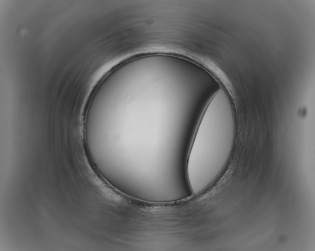 X0000091571380200708200941