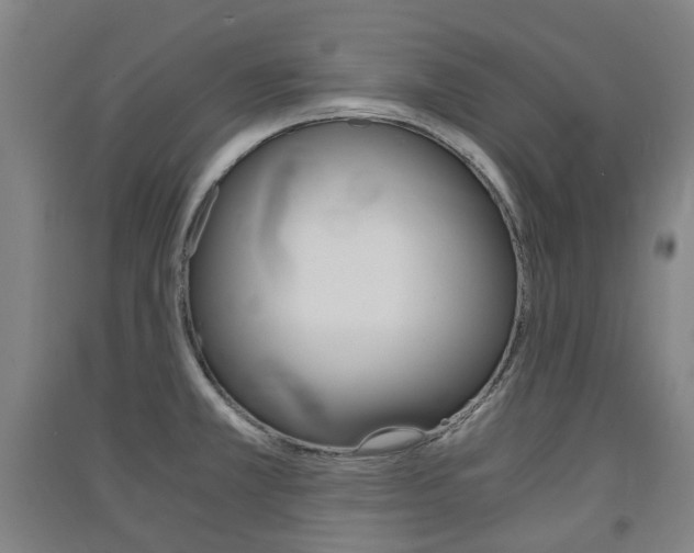 X0000091571381200708200941
