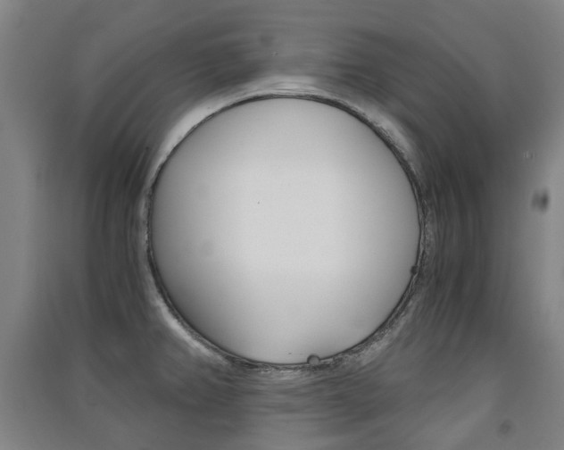 X0000091571382200708200941