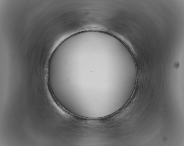 X0000091571383200708200941