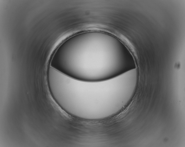 X0000091571384200708200941