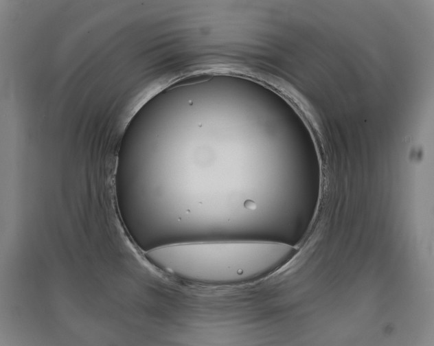 X0000091571385200708200941