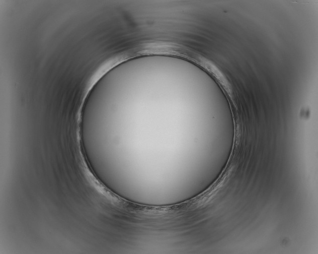 X0000091571386200708200941
